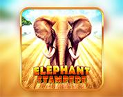 Elephant Stampede
